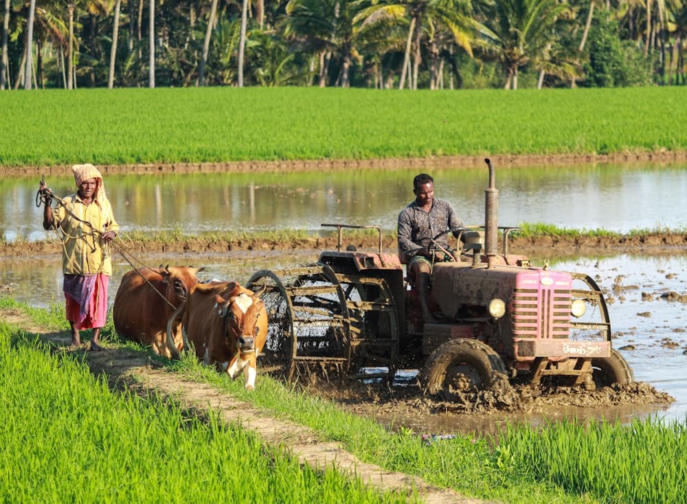 Sustainable farming in Sri Lanka